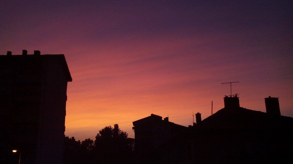 Photo #1948532