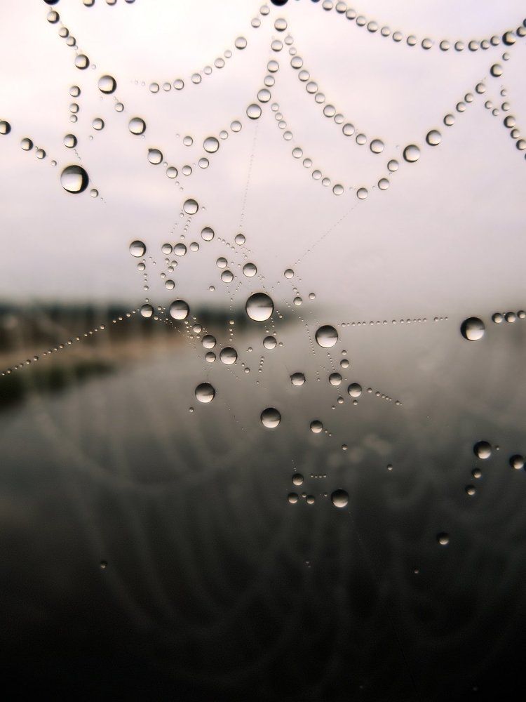 На невидимых нитях