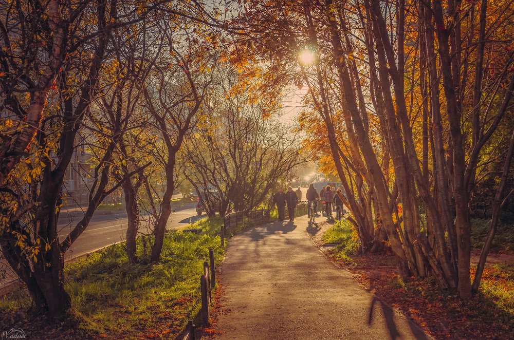 Осень в Мурманске..