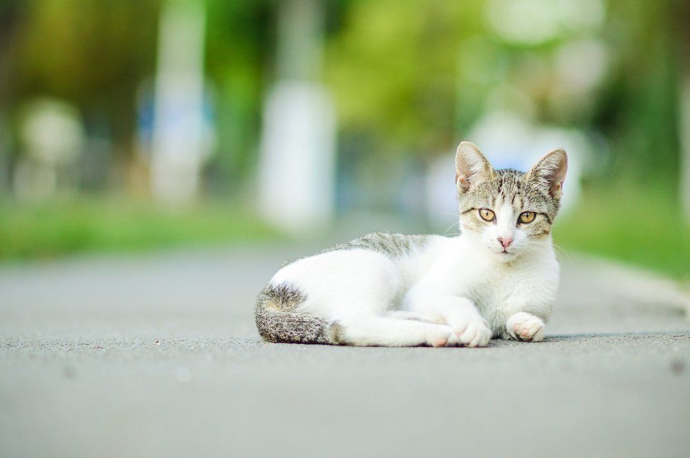 Photograph by robin alin