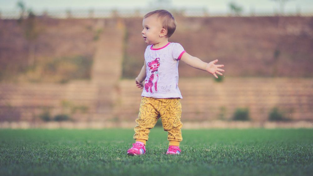 Photograph by robin alin