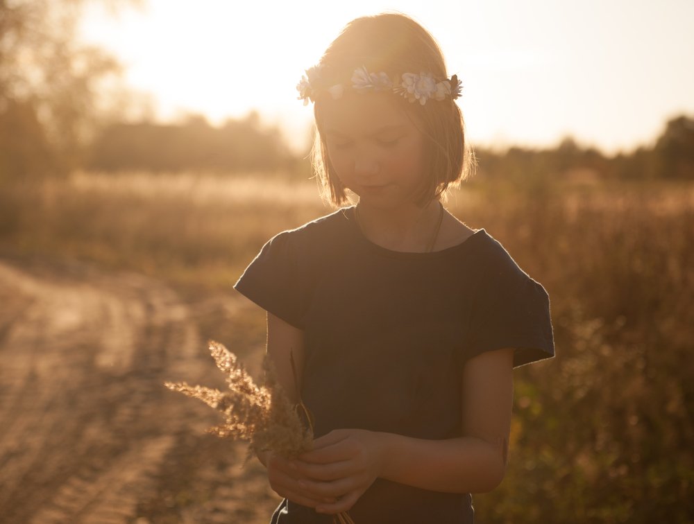 Вечер в поле. Бабье лето