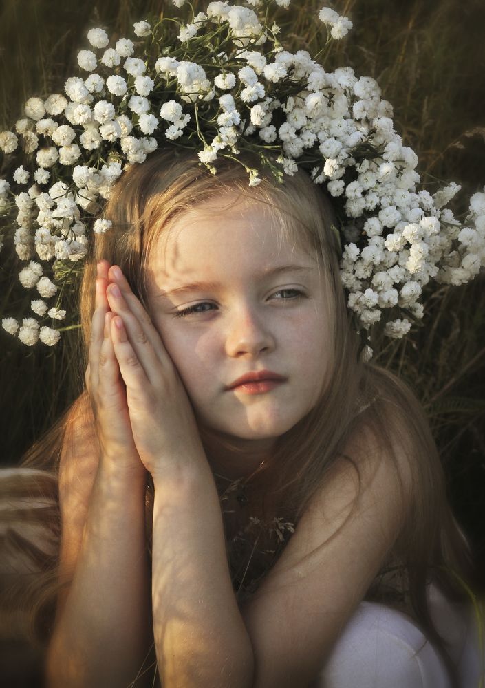 полевые цветочки