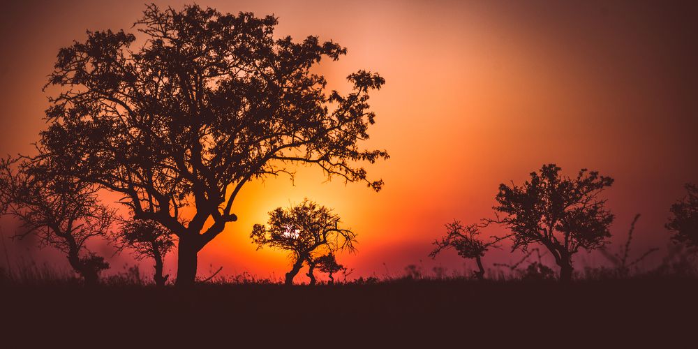 Закат в Крыму