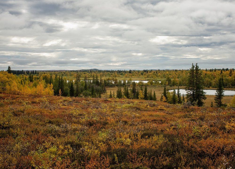 Осень на Севере