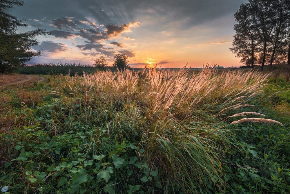 На исходе лета