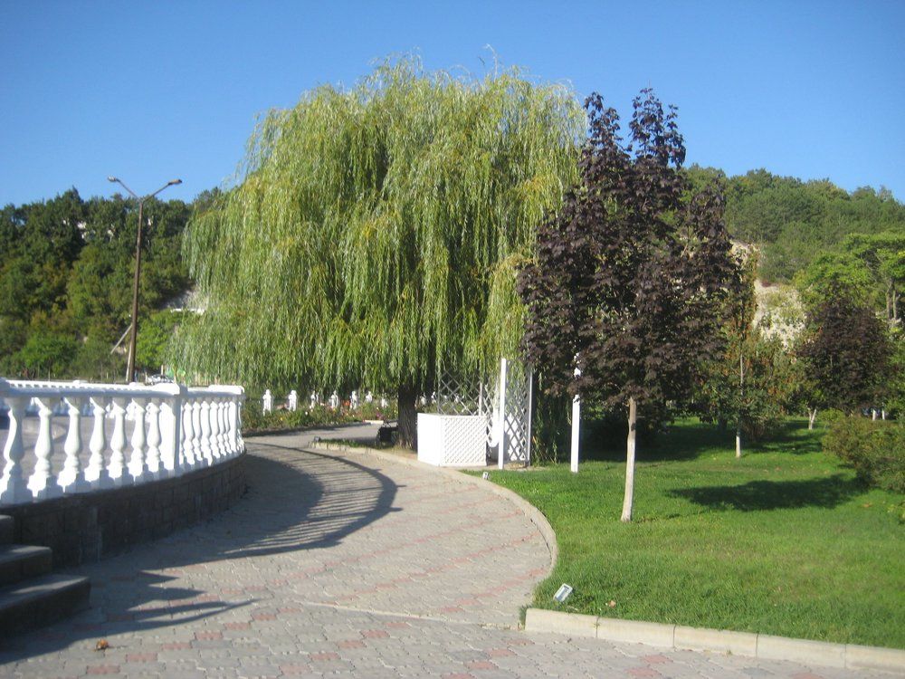 Абрау-Дюрсо