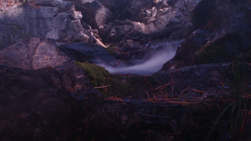 Photo #1949437