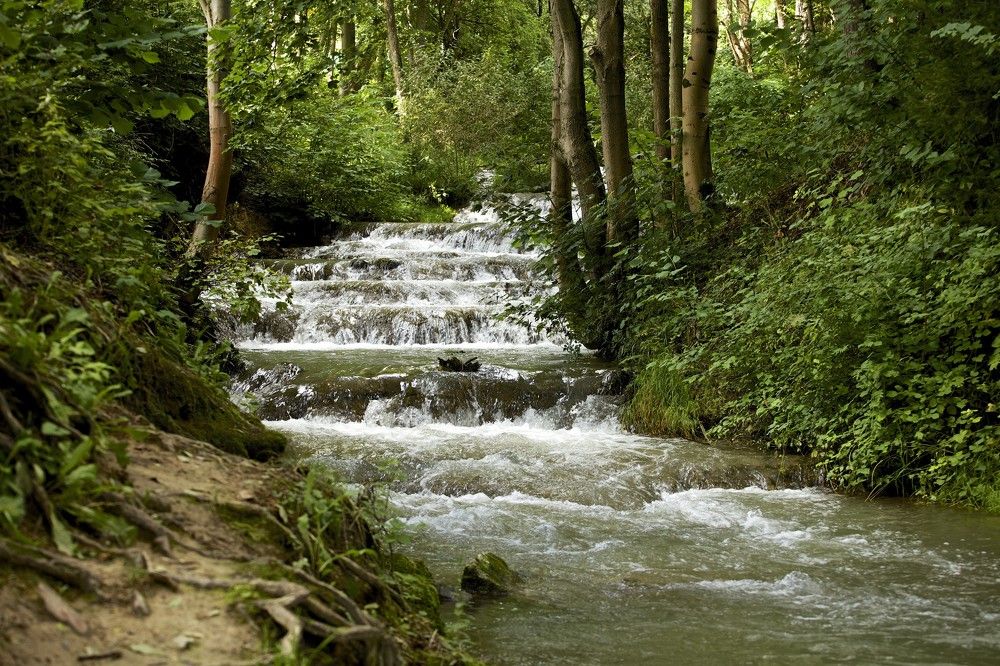 Mountain stream Lučanka