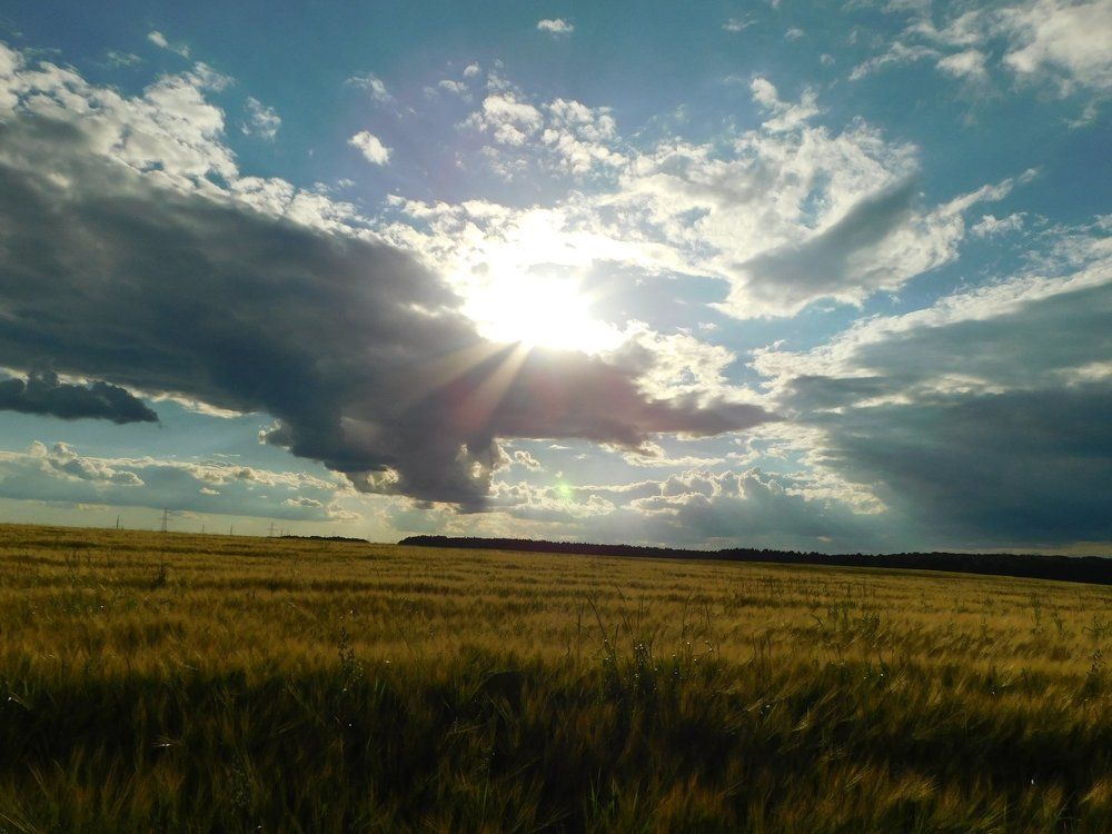 Photograph by Евтух Никита