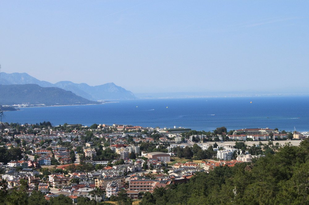 Фотография автора Алина