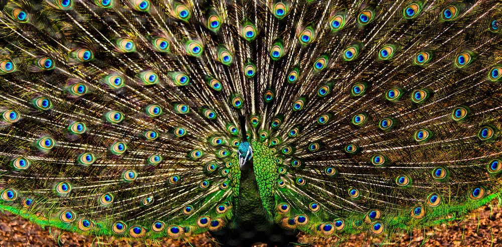 Reflection of Beauty & Grace