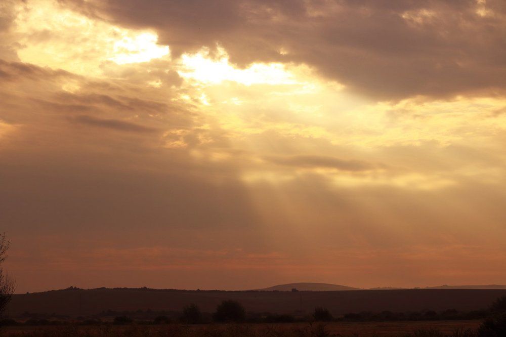 Золотой рассвет