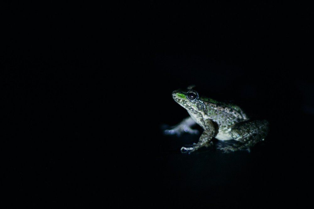 Photograph by Марина Титова