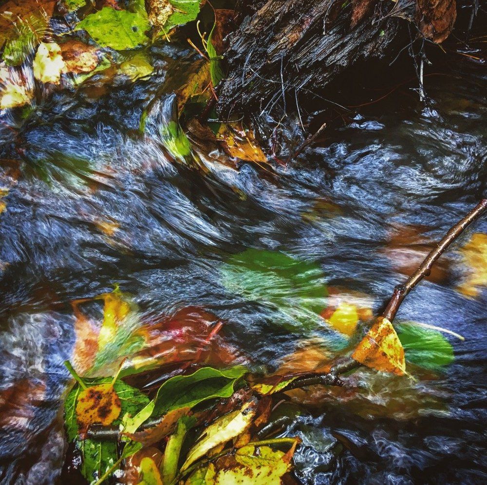 Ручей осенних красок