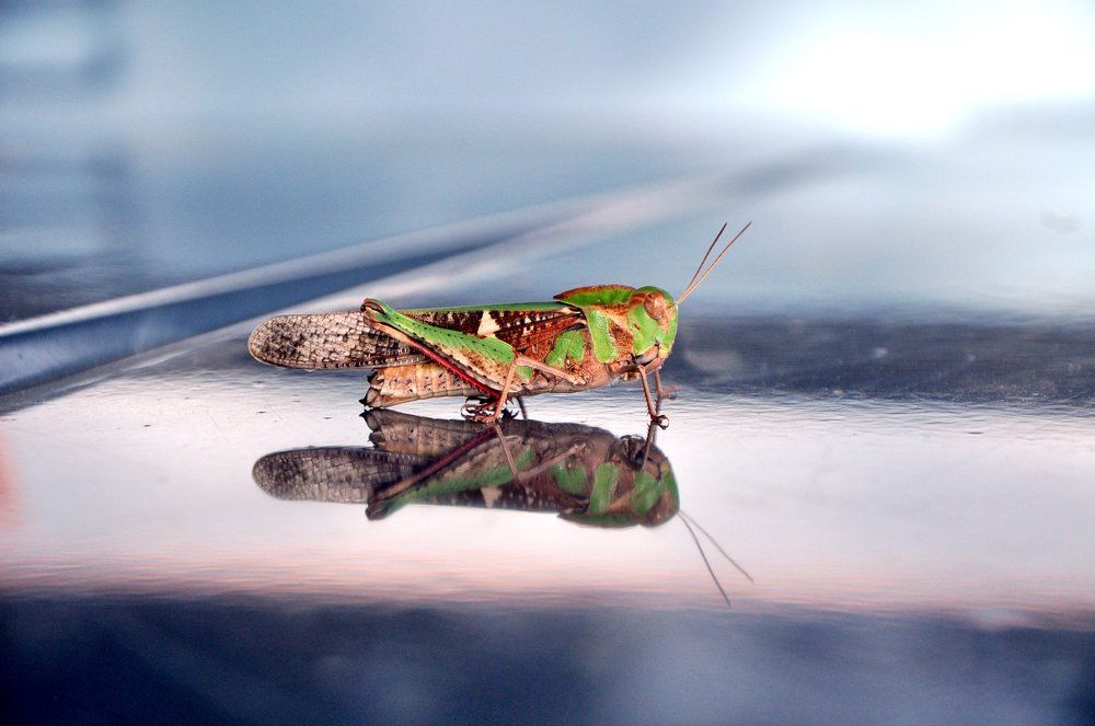 Photograph by Shubham tetoo
