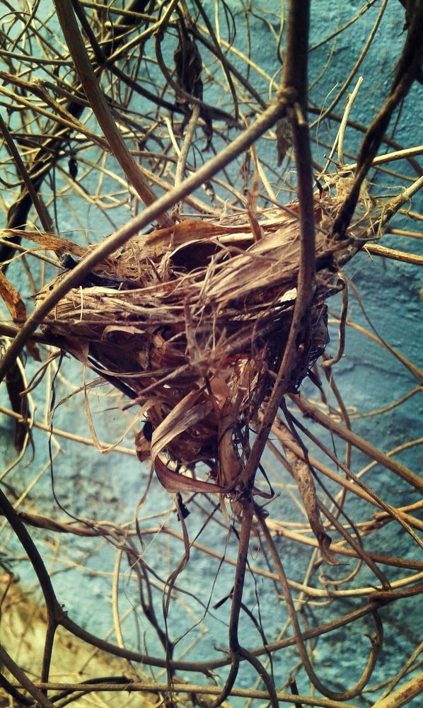 Abandoned home.......