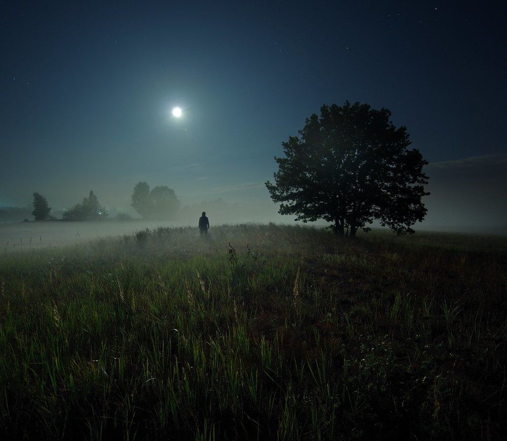 В свете луны
