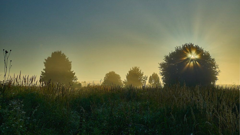 Звезда по имени Солнце