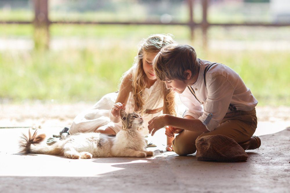 Photograph by Александра Садыкова