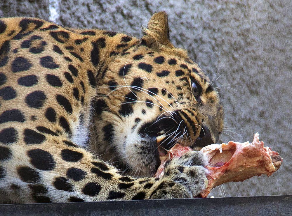 обеденный перерыв