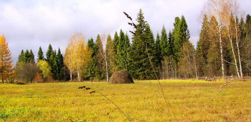 Русское поле