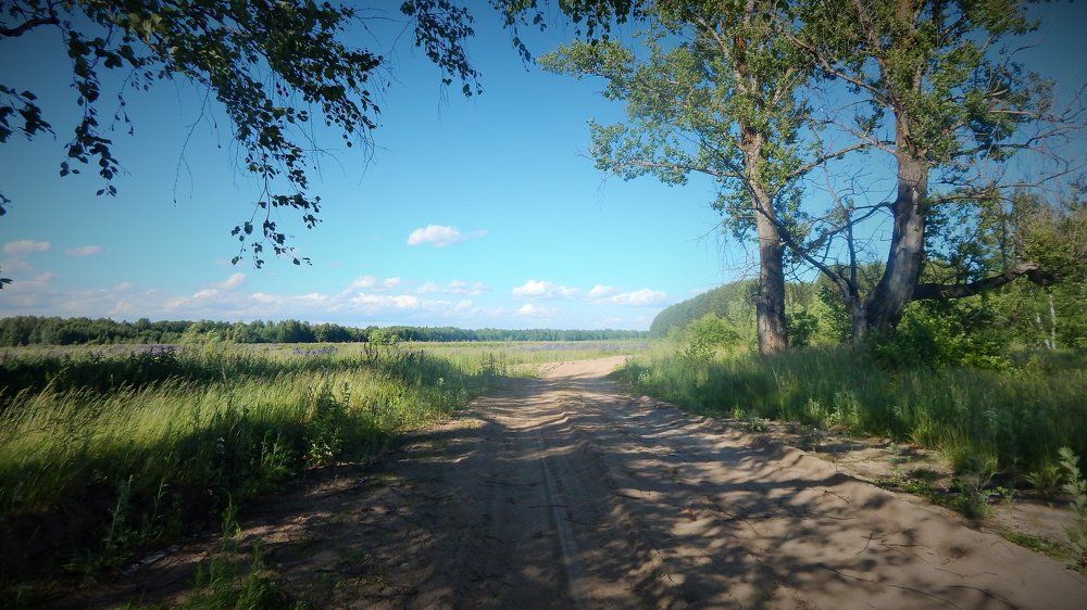 Дорога в никуда