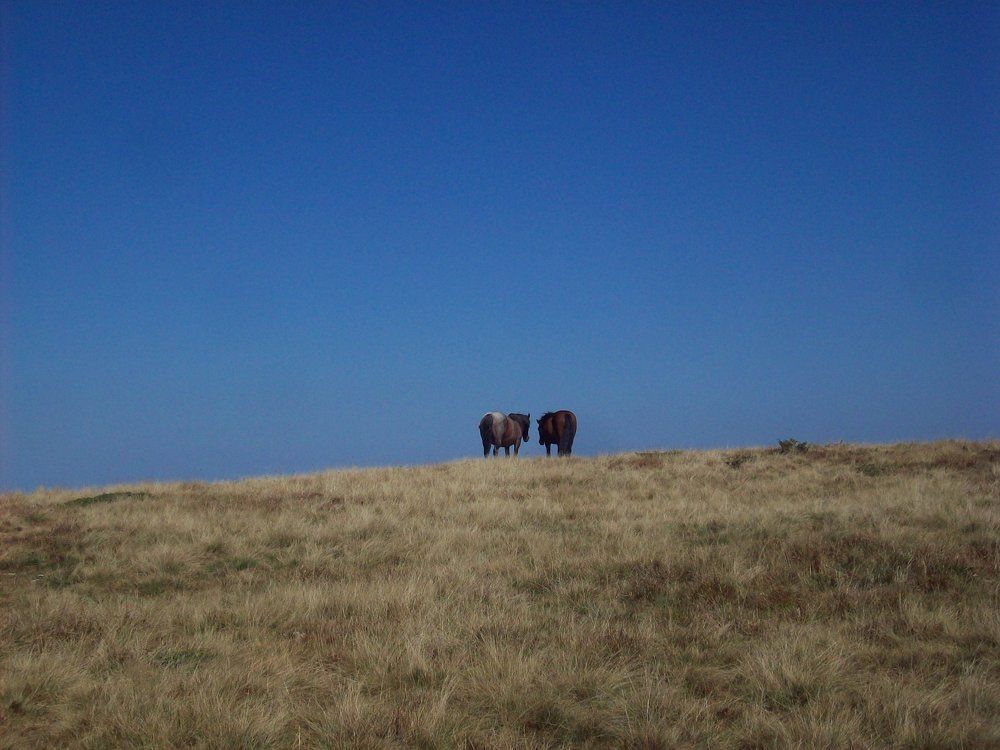 Photograph by Георги Колев