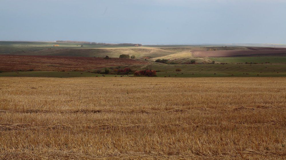 Photograph by Александр Полюдов