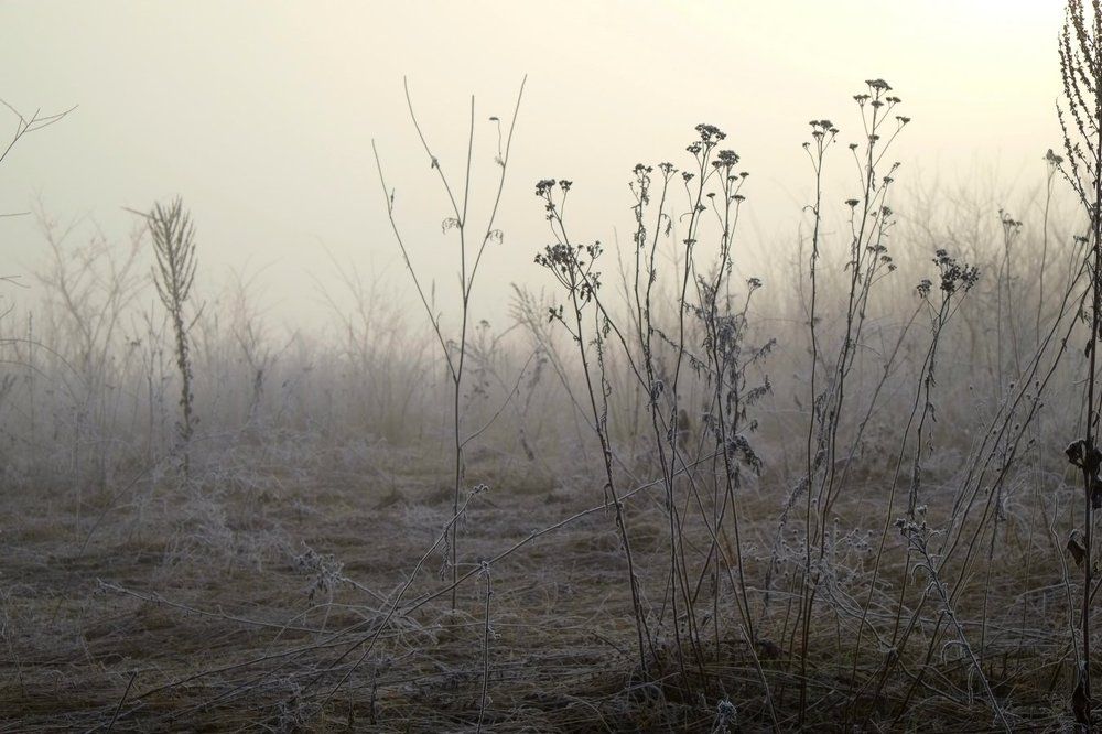 Photograph by Андрей