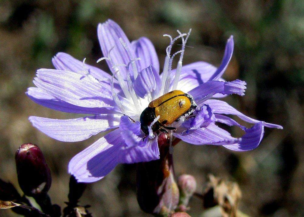 Photograph by Ольга Павлова