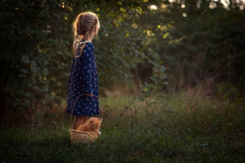 Фотография автора Лилия Немыкина