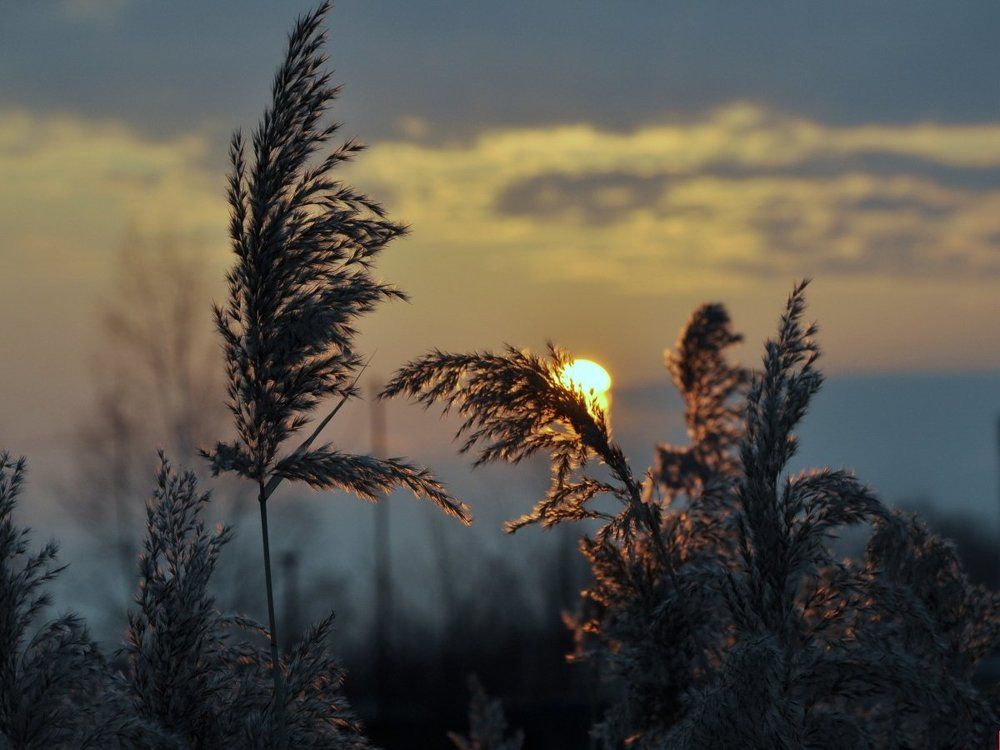 Утро начинается ...