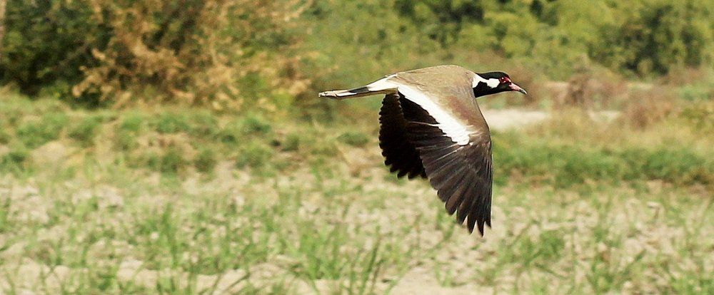 Photograph by Sarmad Sindhi