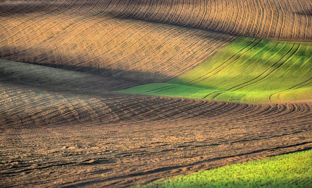 Волнение поля