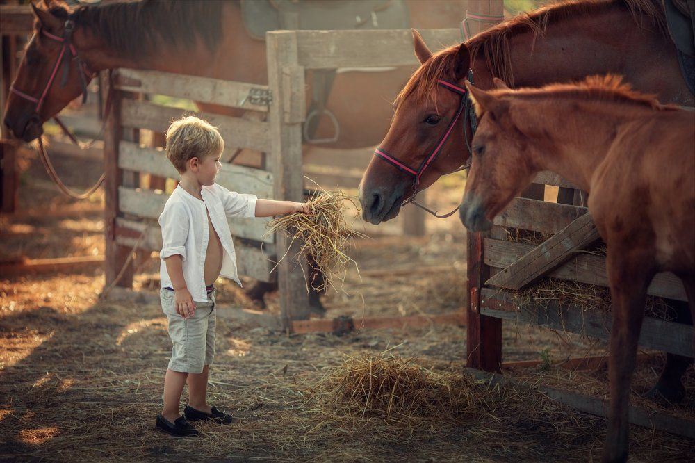 Фотография автора Александра Черемохина