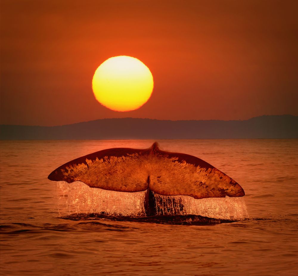 На закате...