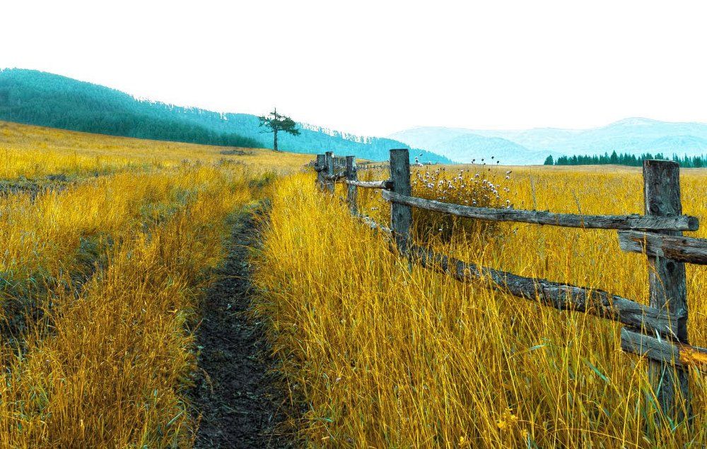 дорога в легенду