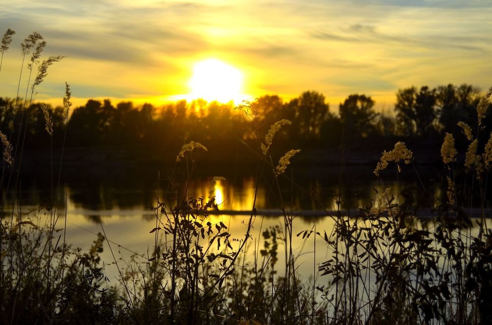 Photograph by Елена Васильева