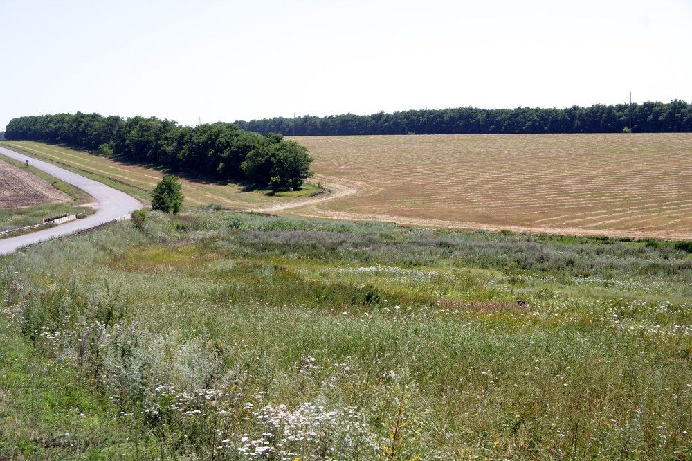 Две дороги.