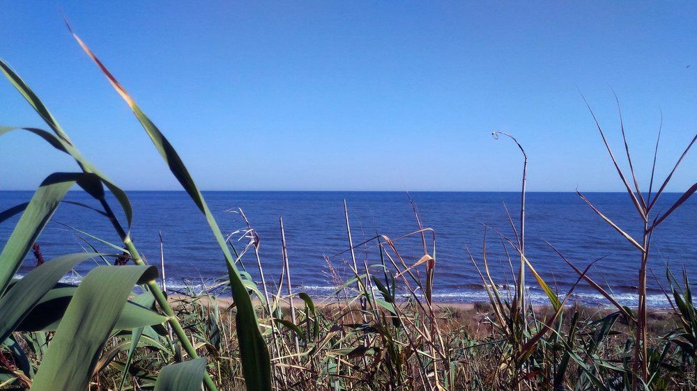 Азовское море