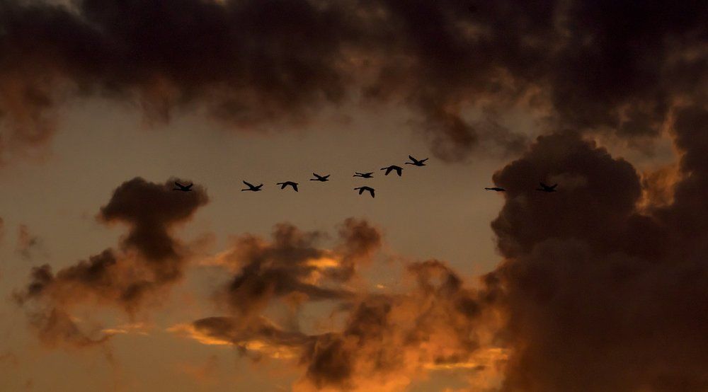 Закат над Рижском заливе