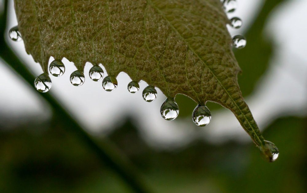 После дождя