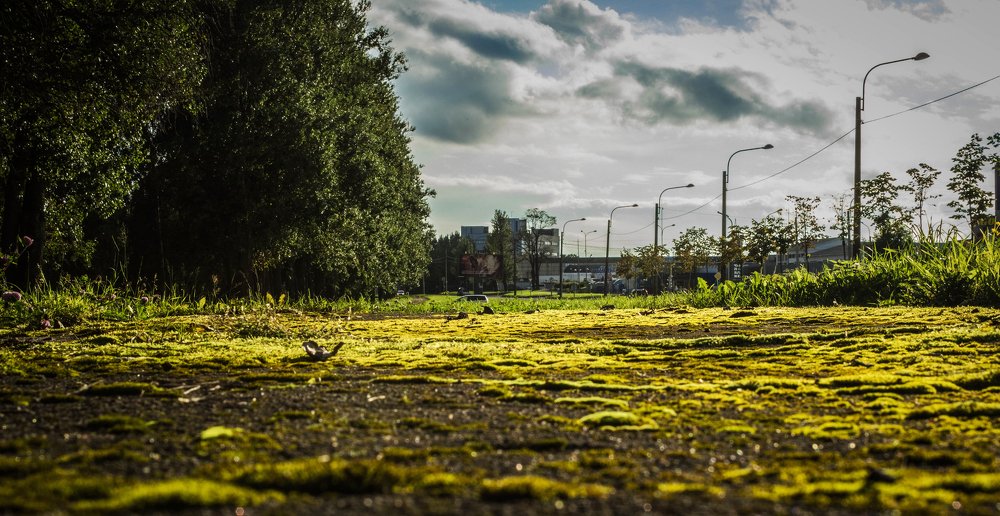 Photograph by Алексей Труханович