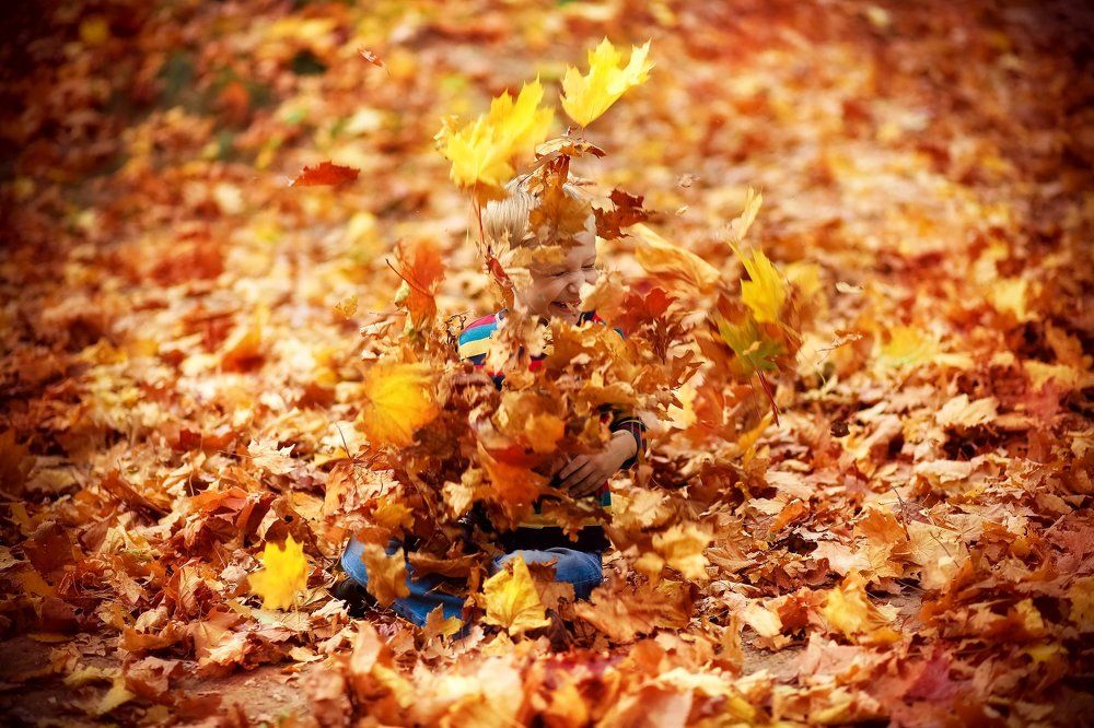 Осторожно листопад.....