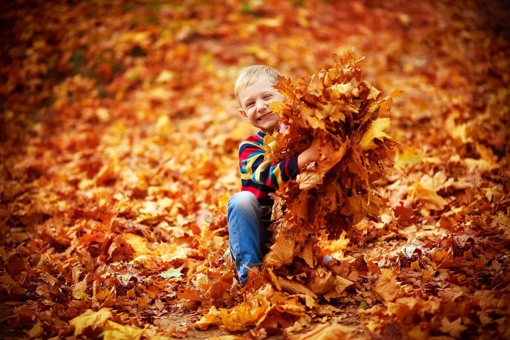 Золотая Осень