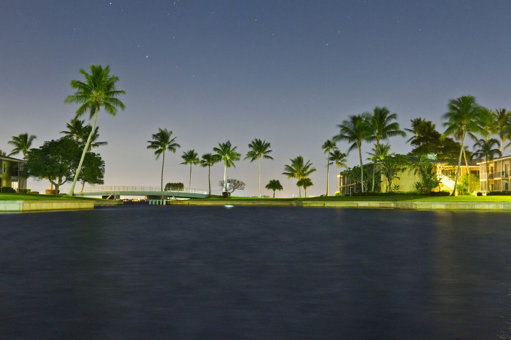 Пальмы, даже ночью зелёные