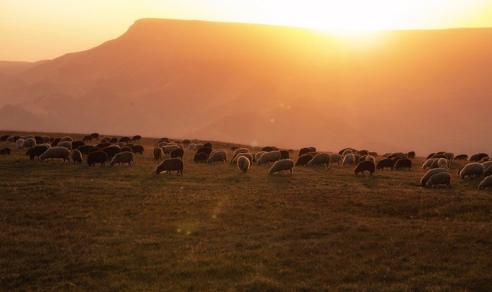 Настроение