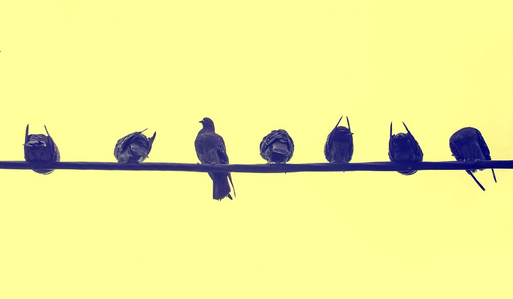 Photograph by Anny Stefanchuk