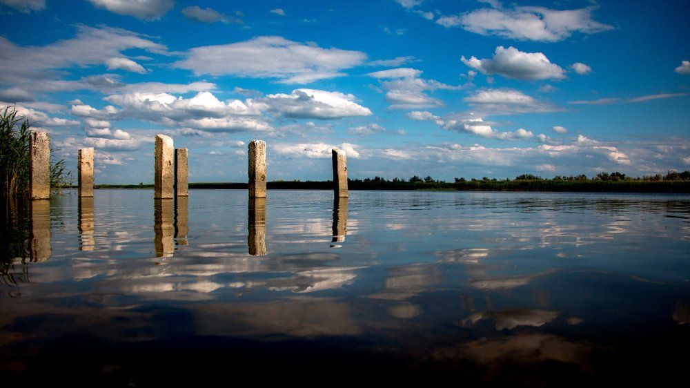 Photograph by Виталий